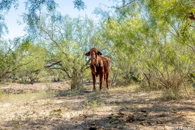 SH 359 359, Laredo, TX 78043 - #2