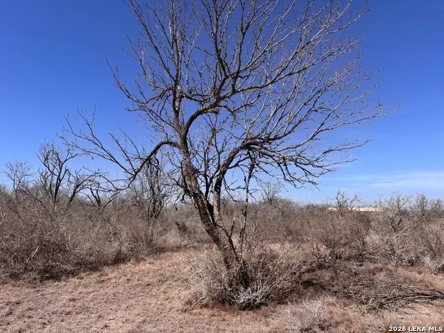 000 Highway 72, Three Rivers, TX 78071 - #2