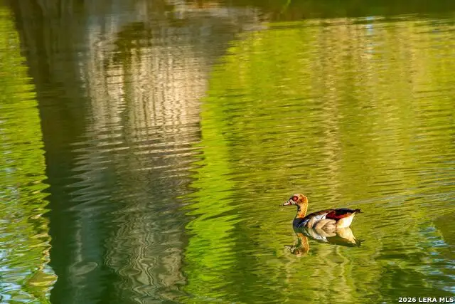 567 Bear Creek Road, Kerrville, TX 78028 - #2