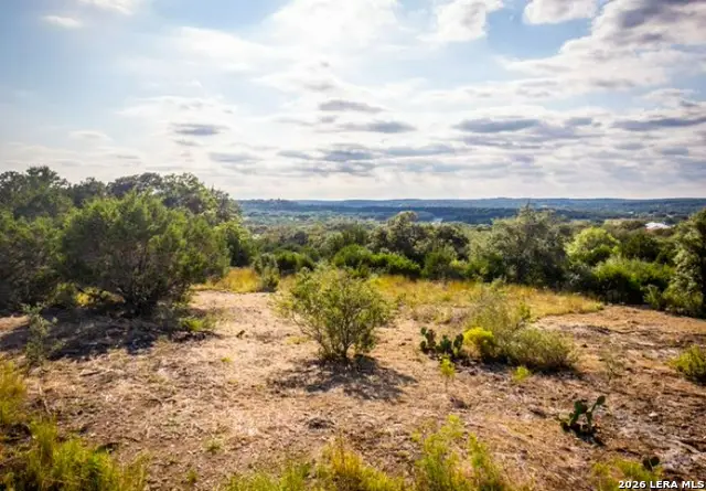 523 Rio Ridge Pkwy, Spring Branch, TX 78070 - #2