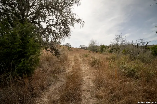 100 Stieler Valley, Comfort, TX 78013 - #2