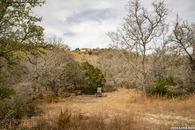 100 Stieler Valley, Comfort, TX 78013 - #3