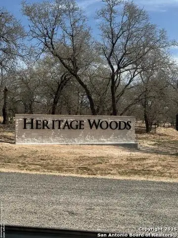 140 Syrah St, La Vernia, TX 78121 - #3