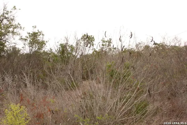 TBD County Road 573, Castroville, TX 78009 - #1