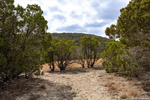 415 Sparkling Springs, Boerne, TX 78006 - #3