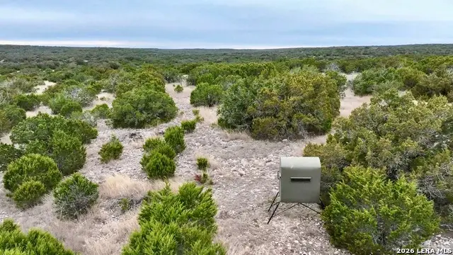 SD 16010 Sd, Rocksprings, TX 78880 - #1