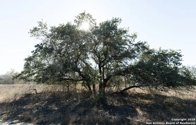 2739 Cr 770, Natalia, TX 78059 - #2