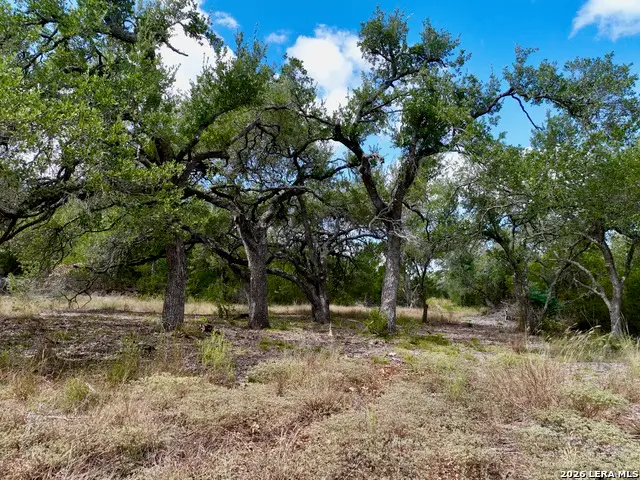 19825-A Ranch Rd 12, Driftwood, TX 78619 - #2
