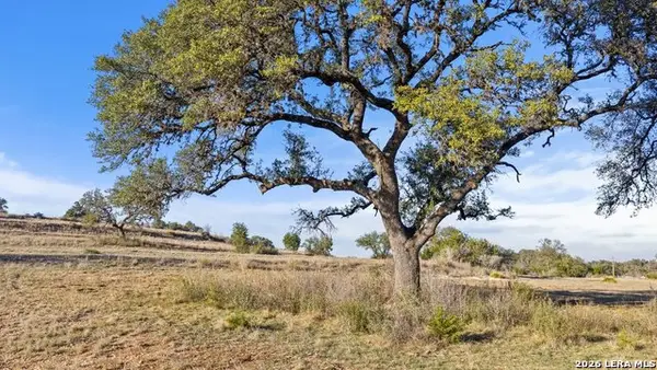 885 Stanton, Johnson City, TX 78636