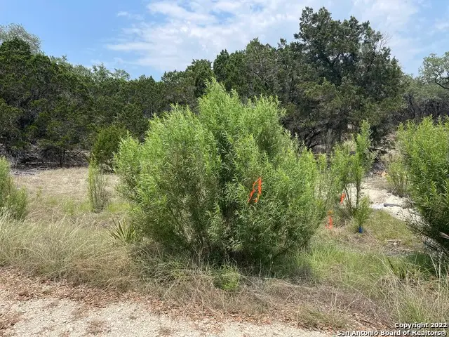 908 Serene, Spring Branch, TX 78070 - #2