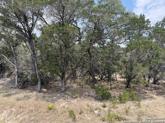 908 Serene, Spring Branch, TX 78070 - #3