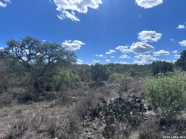 119 Cartama, Spring Branch, TX 78070 - #1