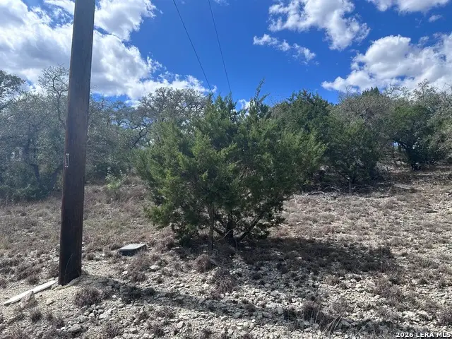 214 Restless Wind, Spring Branch, TX 78070 - #3