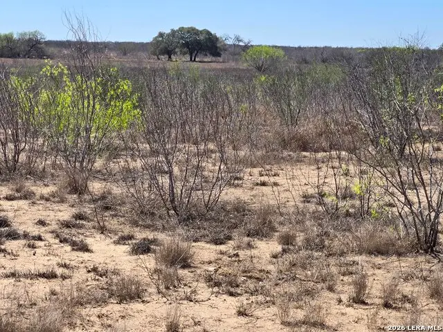 9239 Cr 123, Pawnee, TX 78145 - #3