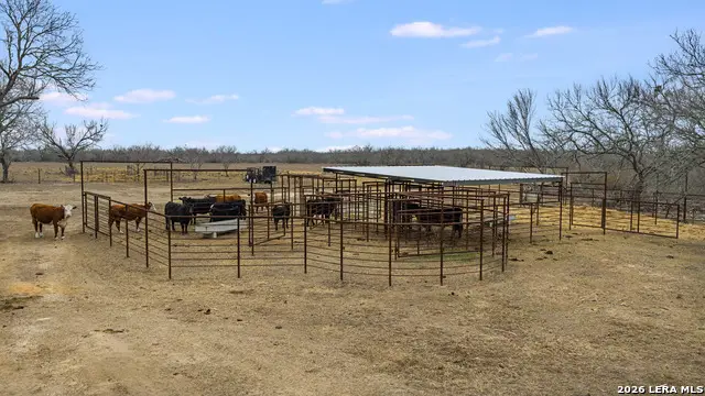 228 County Road 454, Stockdale, TX 78160 - #2