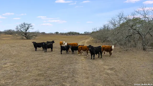 000 County Road 454, Stockdale, TX 78160 - #1