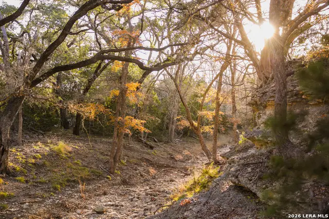 242 Model T, Blanco, TX 78606 - #1