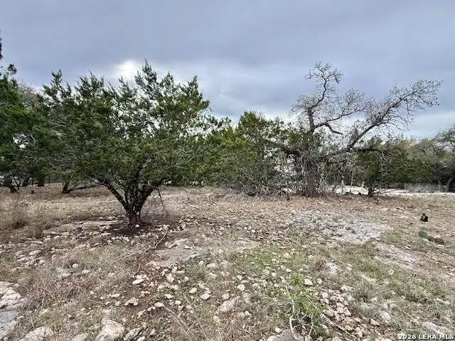 104 C Chisholm, Blanco, TX 78606 - #3