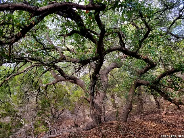 2066 Stallion Springs Dr, Fischer, TX 78623 - #3