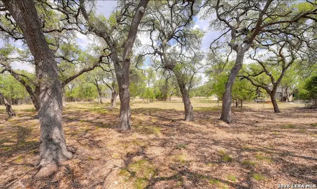 107 S Calvin Barrett, Blanco, TX 78606 - #2