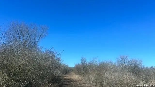 0 Raccoon Drive, George West, TX 78022 - #3