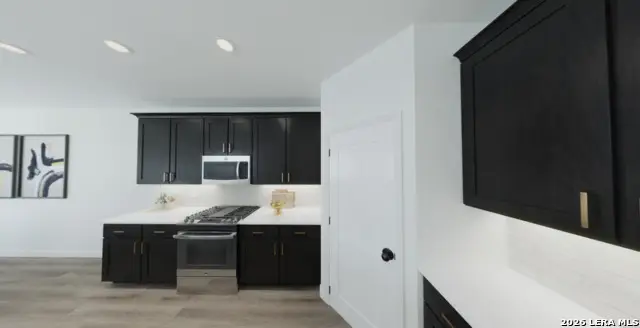 12842 Hill Plains Dr., Schertz, TX 78154 - #3