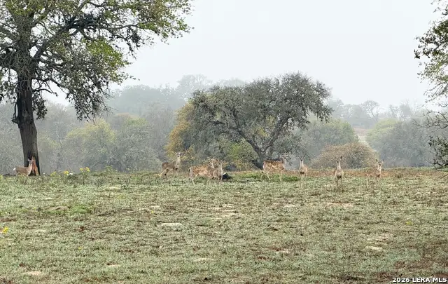 534 Whitetail Dr, Adkins, TX 78101 - #1