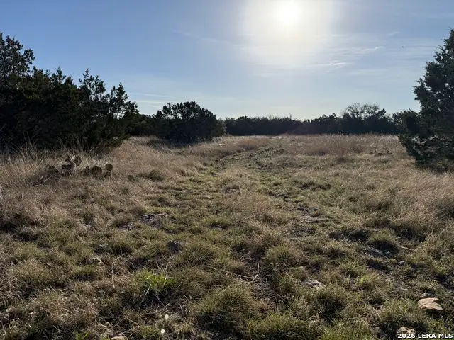 LOT 3D N Laird Rd., Harper, TX 78631 - #1