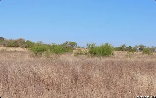 435 County Road 7715, Devine, TX 78016 - #2