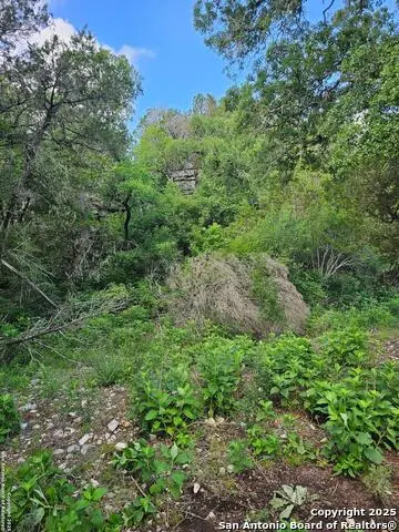0 Happy Hollow, New Braunfels, TX 78132