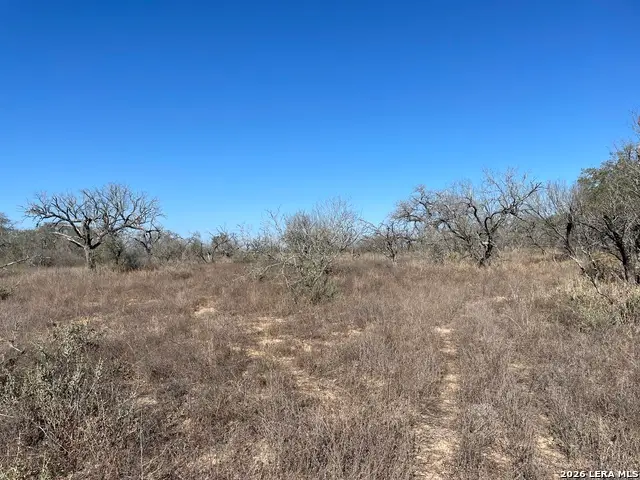 TRACT#8 12.31A County Road 777, Devine, TX 78016 - #3