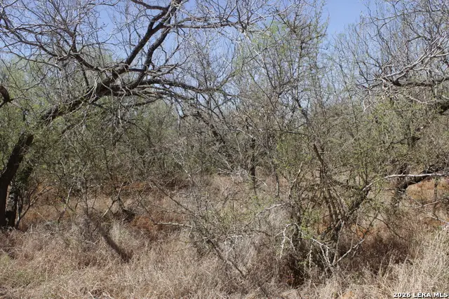 200 Rogers Ranch Road, Big Wells, TX 78830 - #2