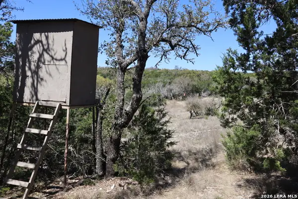 462 Schenk-witkowski, Rocksprings, TX 78880