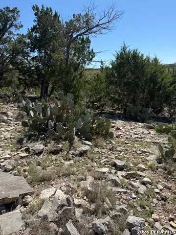 241 County Road, Hondo, TX 78861 - #3