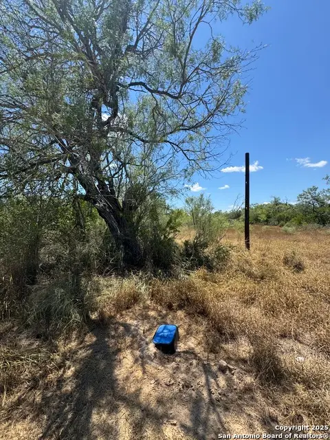 404 Avenue J, Christine, TX 78012 - #2