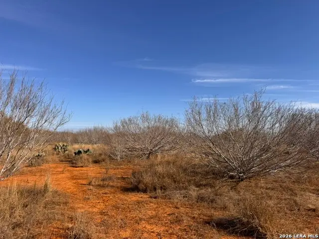 TR 1 W Highway 85, Dilley, TX 78017 - #3