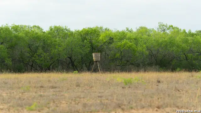 872 Rodriguez, Pleasanton, TX 78064 - #1