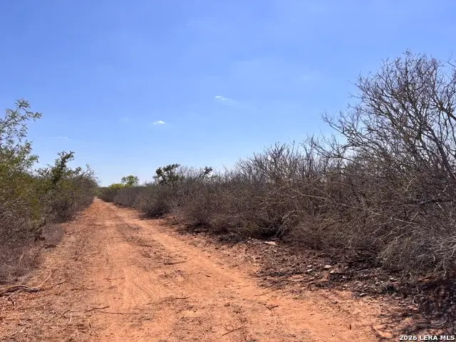 00 Cr 103, San Diego, TX 78384 - #2