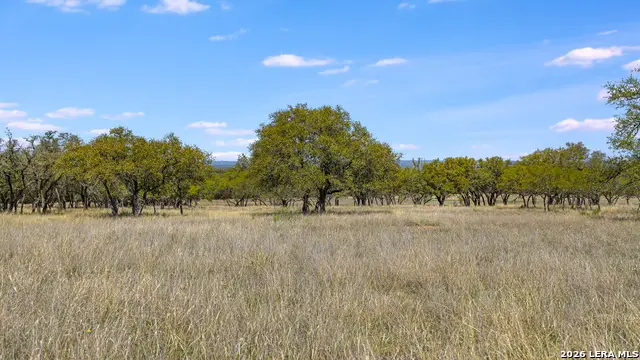 16 Lewis Rd, Boerne, TX 78006 - #2