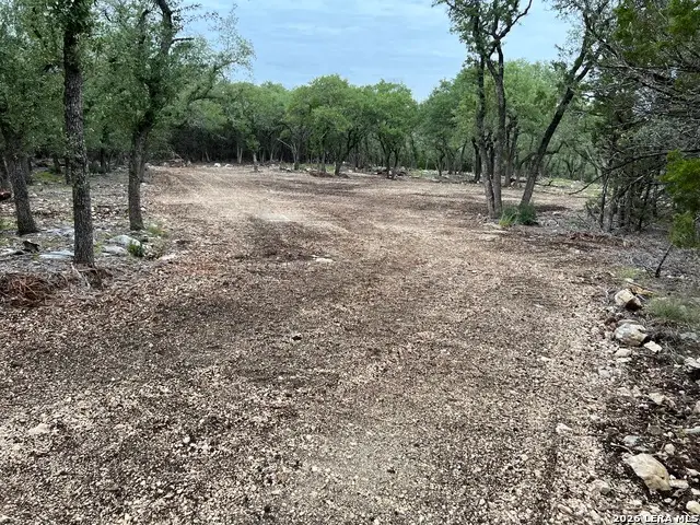 970 W Branch, Spring Branch, TX 78070 - #3