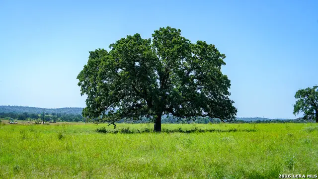 9978 Hay Spring, Fredonia, TX 76842 - #2