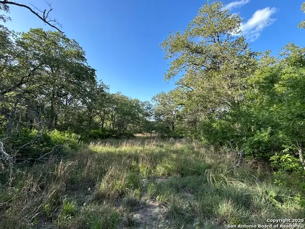 175 Smith, La Vernia, TX 78121