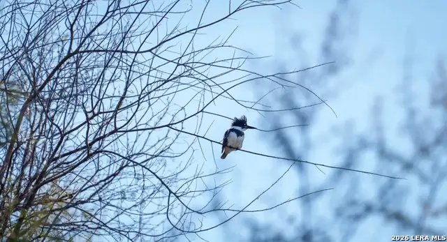 1799 Shumaca Road, Carrizo Springs, TX 78834 - #2