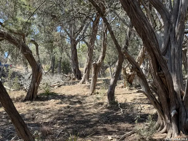 189 Campbell, Canyon Lake, TX 78133 - #3