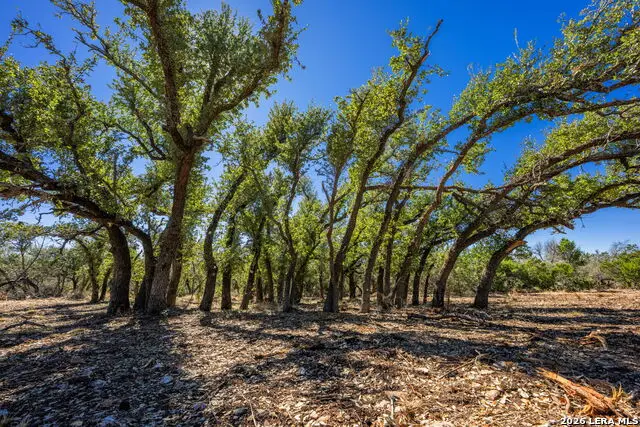 0000 Keese Road, Fredericksburg, TX 78624 - #1