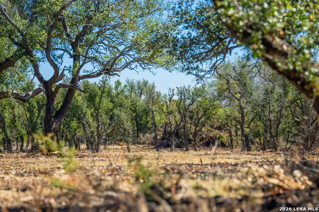 0000 Keese Road, Fredericksburg, TX 78624 - #2