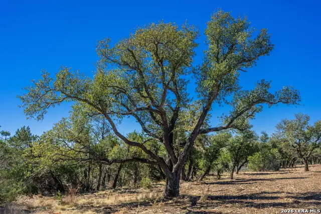 0000 Keese Road, Fredericksburg, TX 78624 - #3