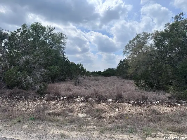 318 Serenity Pass, Spring Branch, TX 78070 - #2