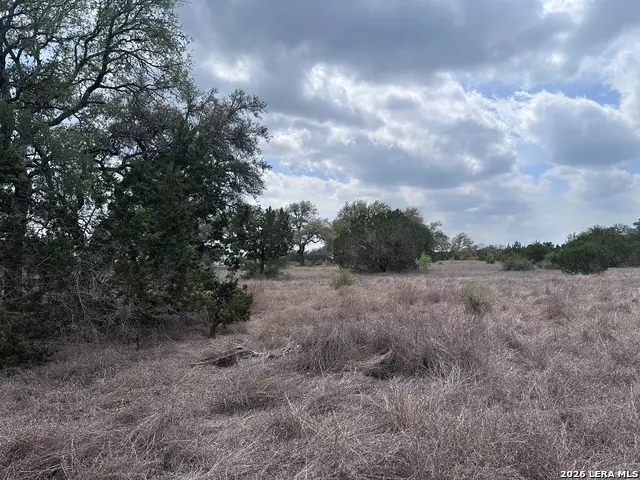 318 Serenity Pass, Spring Branch, TX 78070 - #3