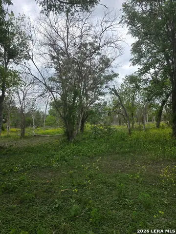 2320 Chavaneaux, San Antonio, TX 78214 - #2